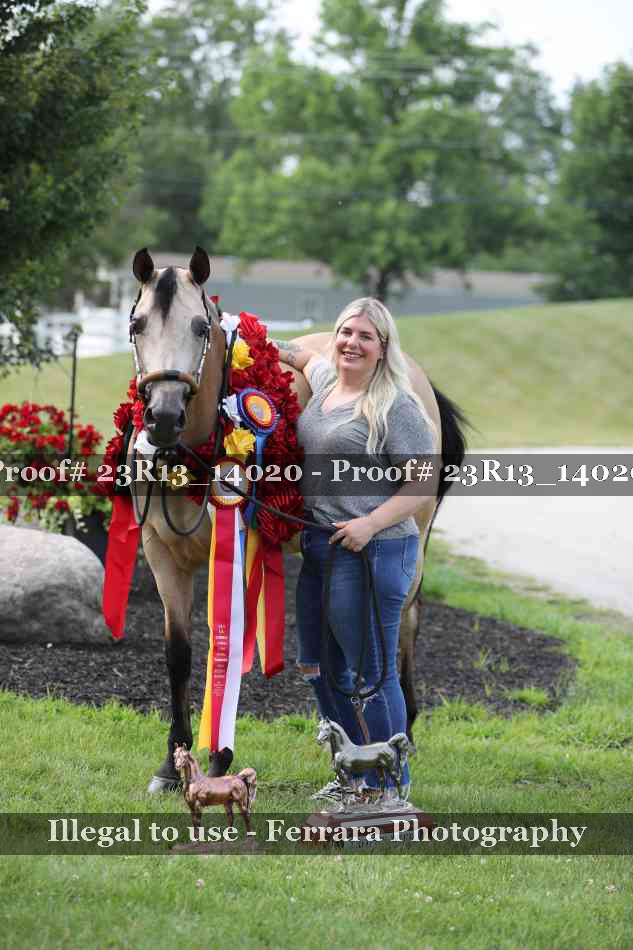 Proof Number 23R13_14020